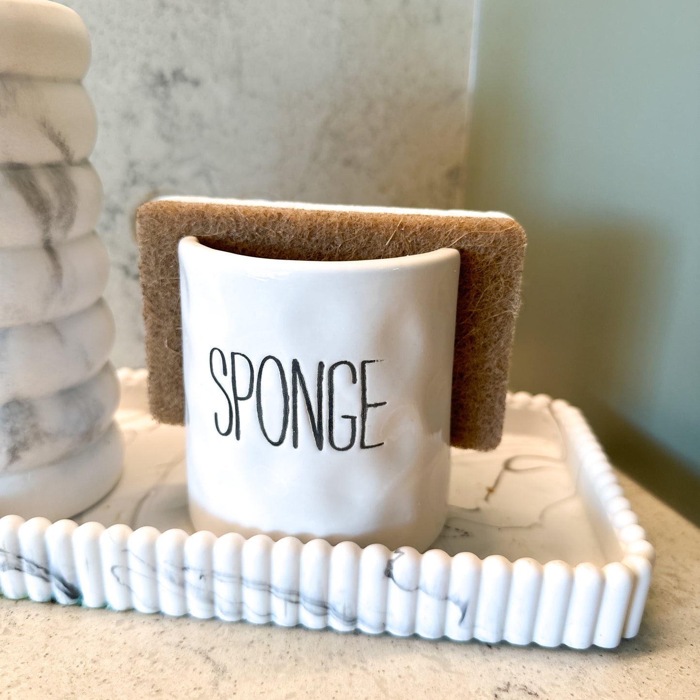 Scrubby Sponge